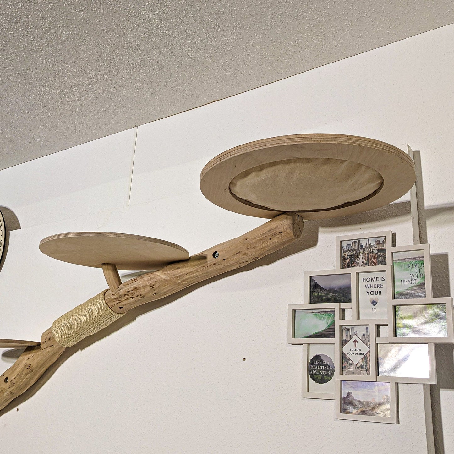 Wall-Mounted Natural Cat Tree 240 cm Length Cat Tree Natural Wood Design
