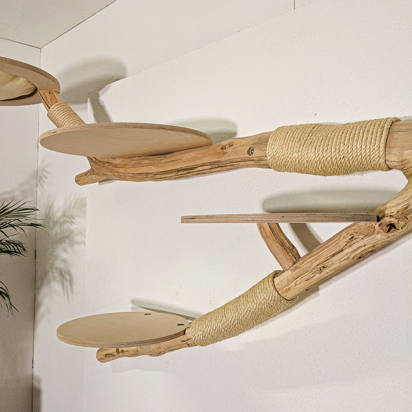 Wall-Mounted Natural Cat Tree 255 cm Length Cat Tree Natural Wood Design