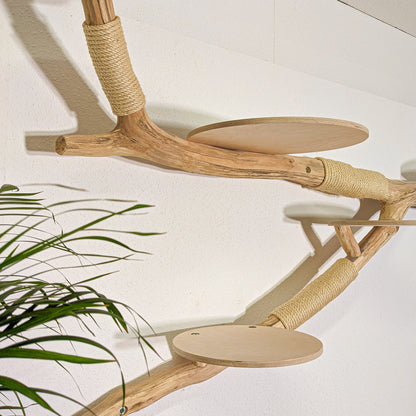 Wall-Mounted Natural Cat Tree 255 cm Length Cat Tree Natural Wood Design