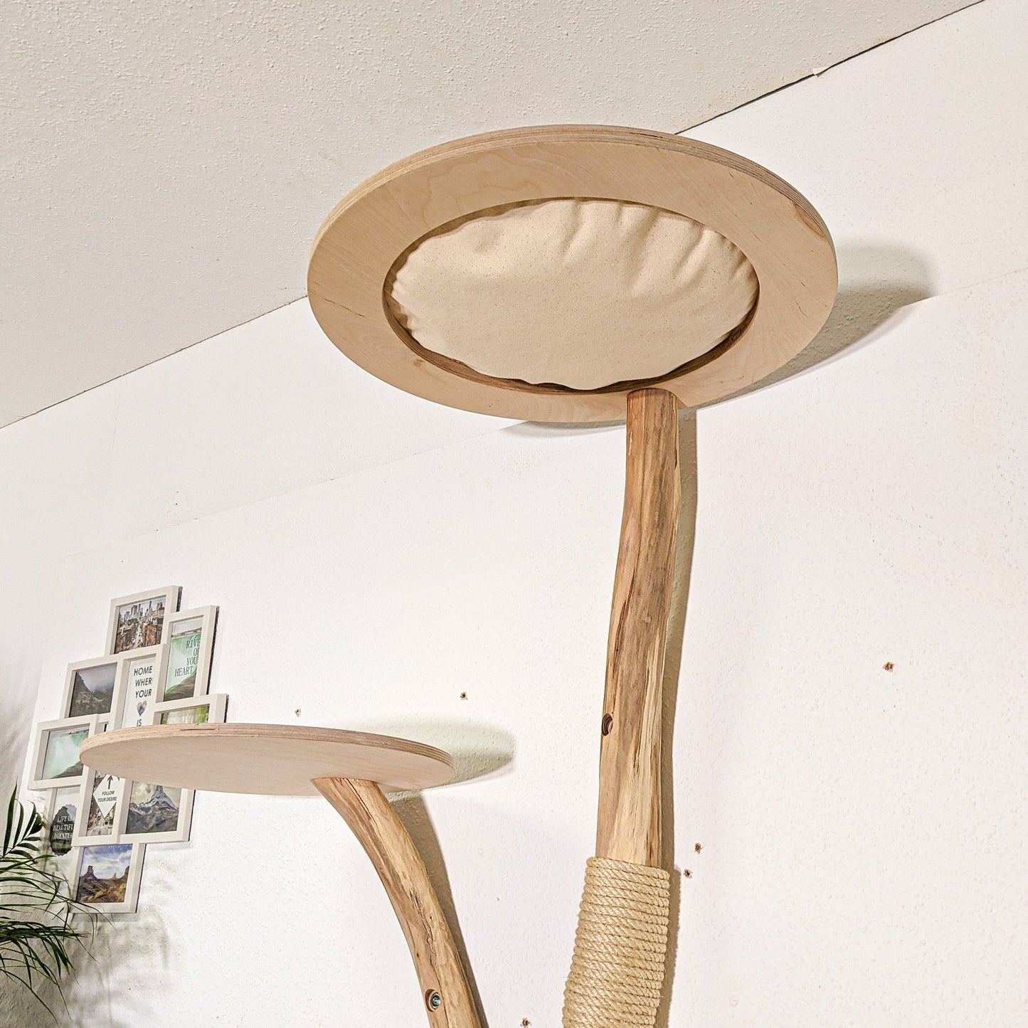 Wall-Mounted Natural Cat Tree 142 cm Height Cat Tree Natural Wood Design
