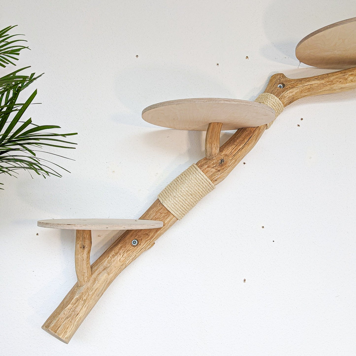 Wall-Mounted Cat Tree 190 cm Length Cat Tree Natural Wood Design