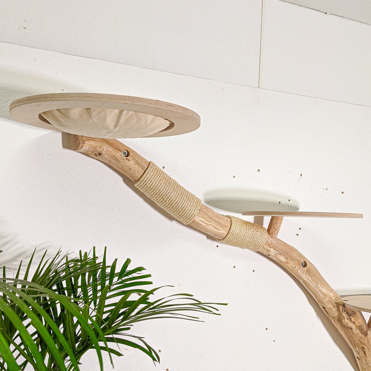 Wall-Mounted Natural Cat Tree 180 cm Length Cat Tree Natural Wood Design