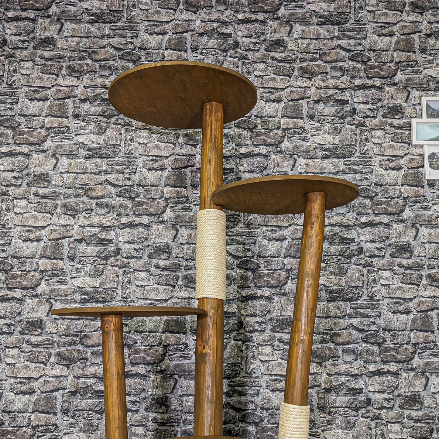 Outdoor Natural Cat Tree CA0008 Cat Tree Natural Wood Design 175 cm high